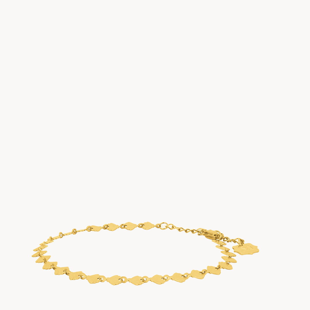Shell Anklet