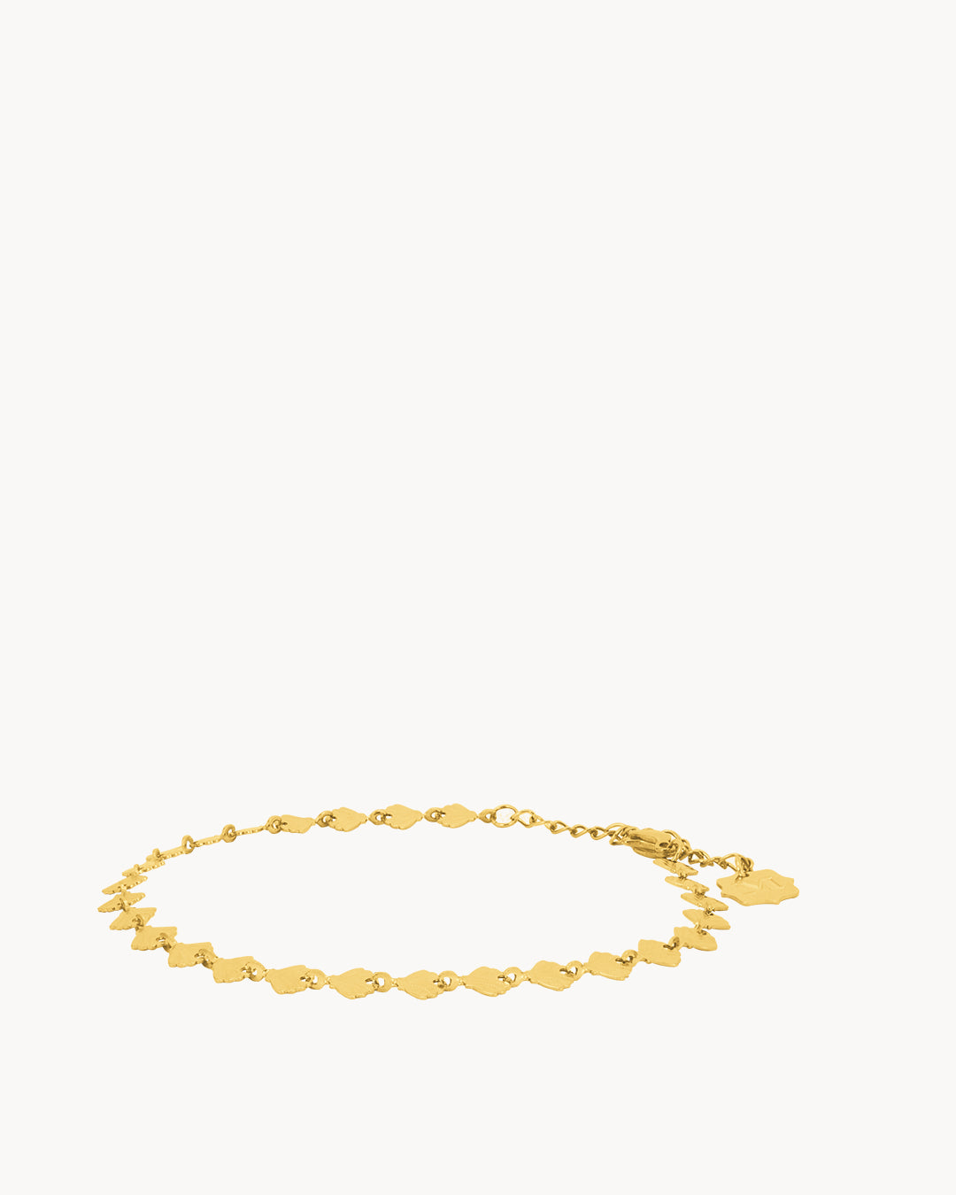 Shell Anklet