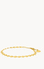 Shell Anklet