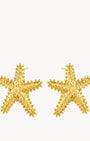 Radiant Statement Starfish Earrings