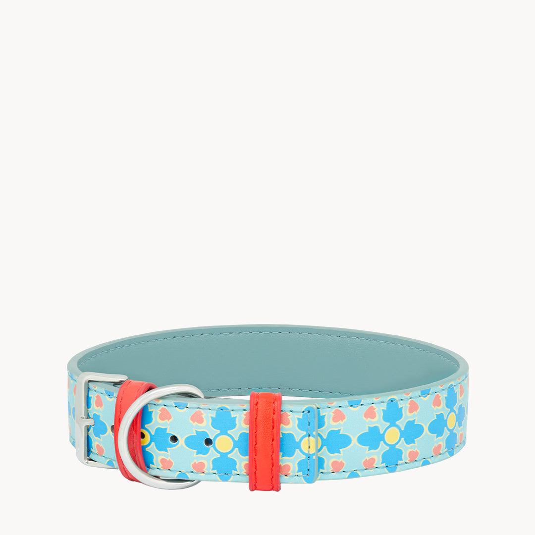 Friendship Collar, Silver