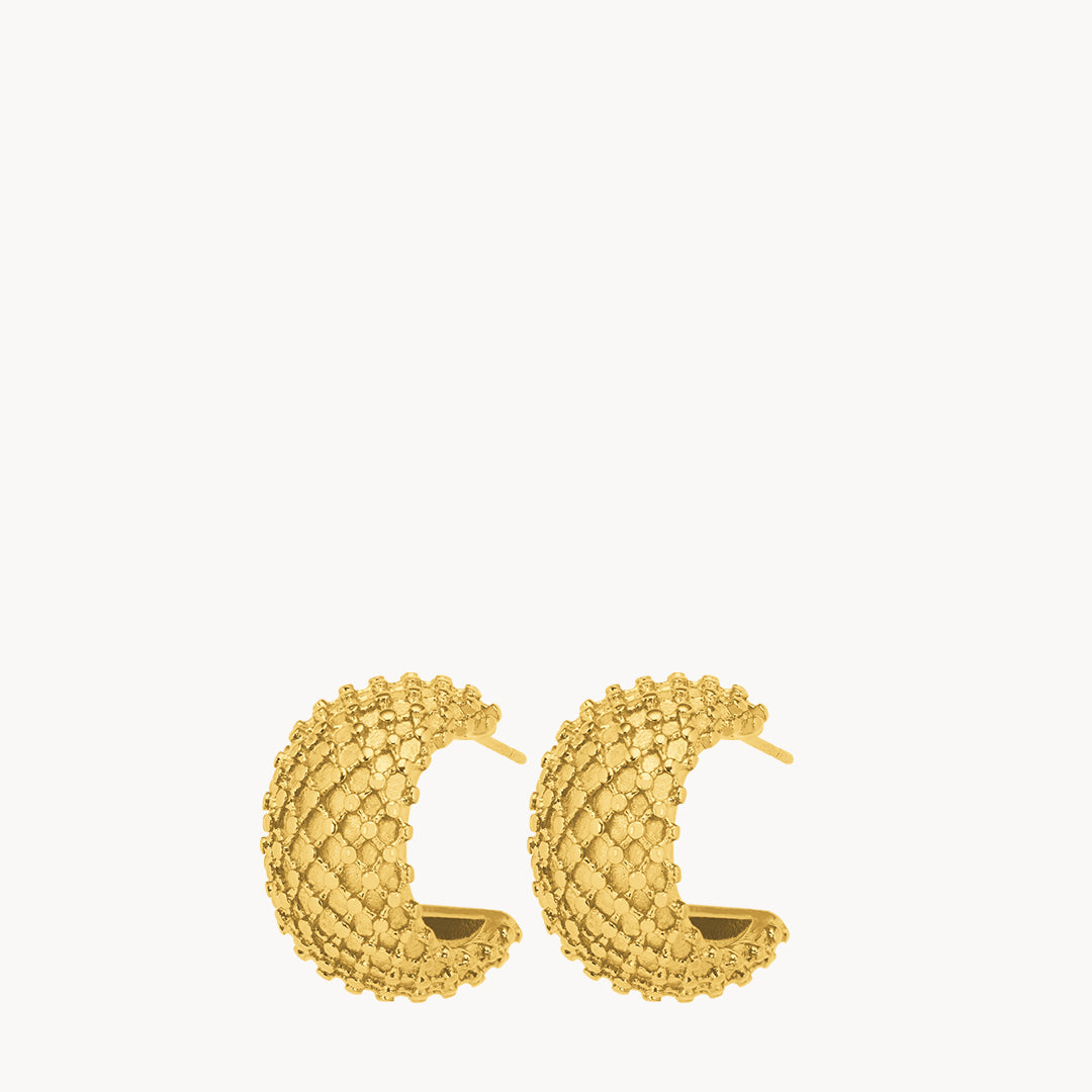 Rotunda Hoop Earrings