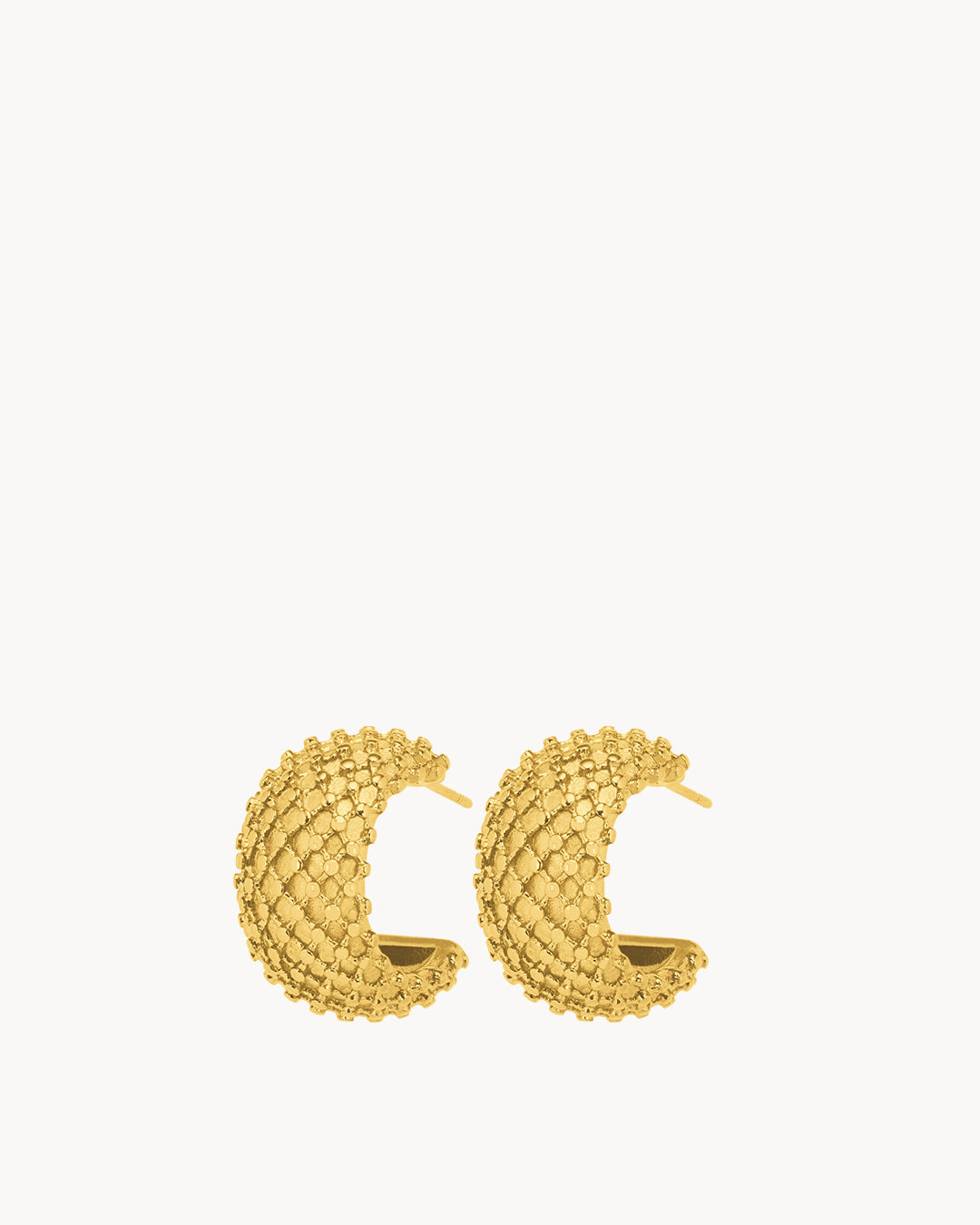 Rotunda Hoop Earrings