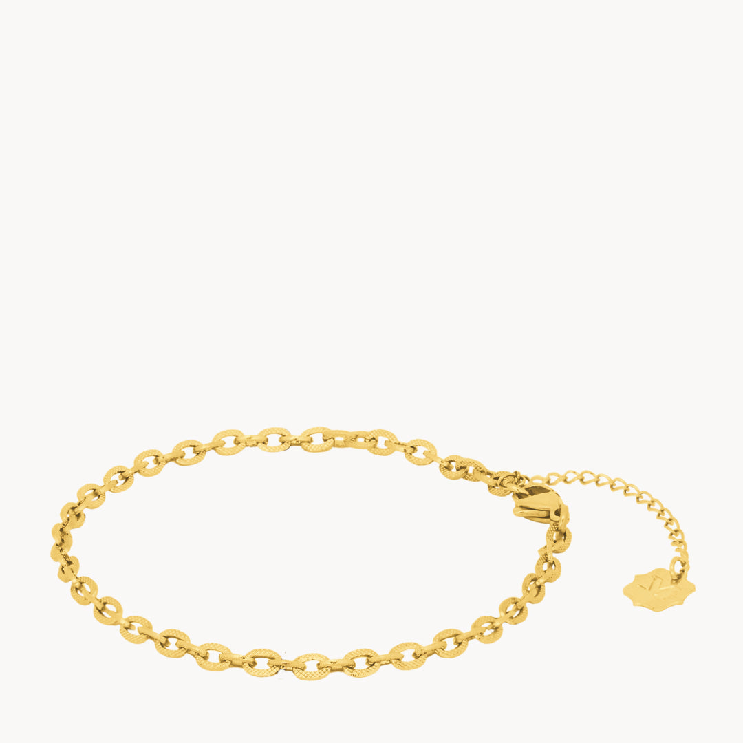 Shimmer Link Anklet