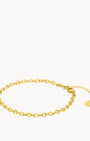 Shimmer Link Anklet