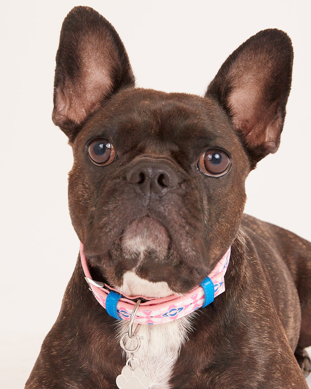 Pink Kavallieri Collar, Silver