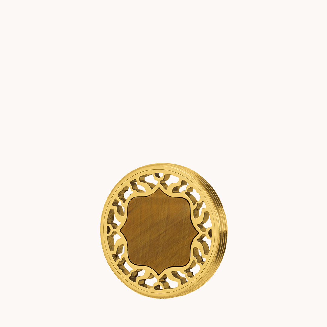 Mvintage Bizzilla Resiliance Tiger Eye Twist Coin