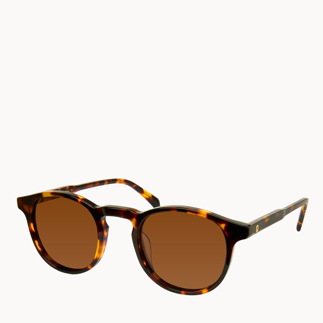 Aidan's Brown Tortoise Shell Sunglasses