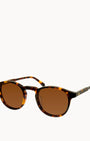 Aidan's Brown Tortoise Shell Sunglasses