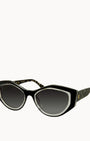 Zest Black Tortoise Shell Sunglasses