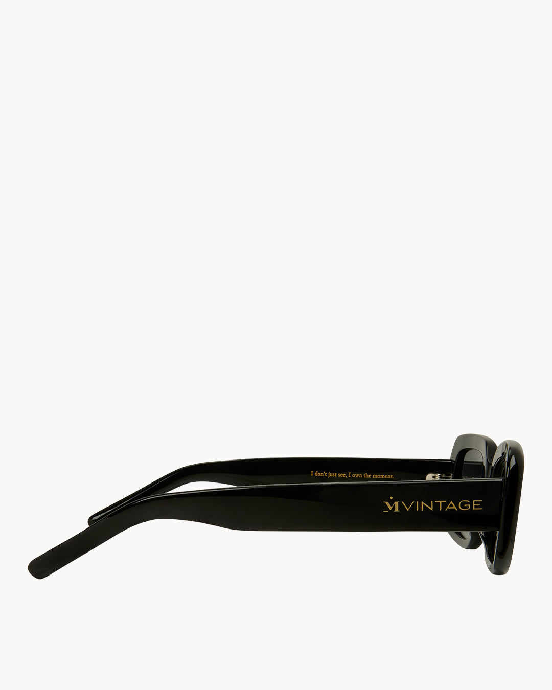 Glossy Black Sunglasses