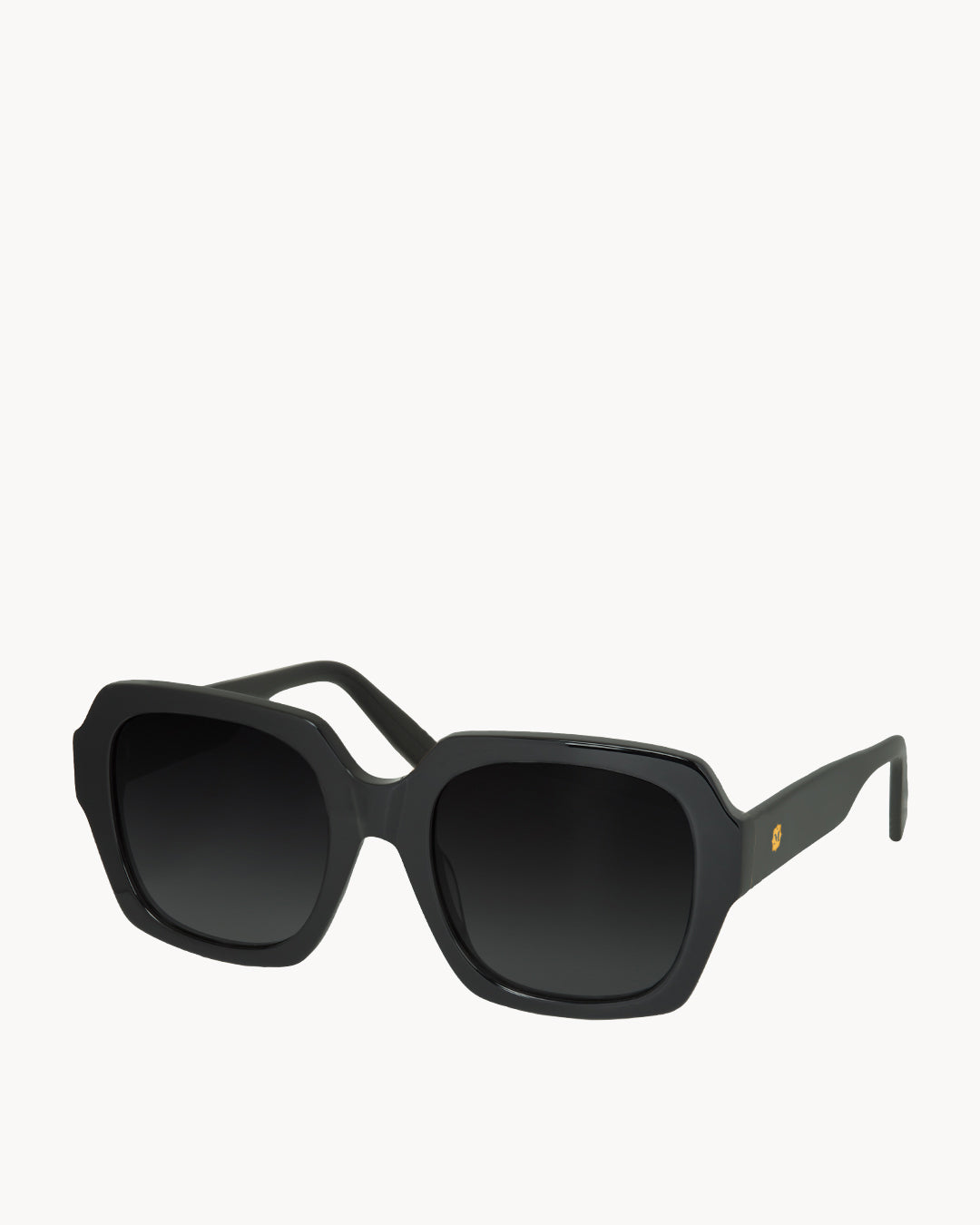 Pinto Power Black Sunglasses