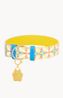 Kavallieri Pet Engravable Paw Set, Gold