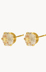 Champagne Zirconia Studs, Gold