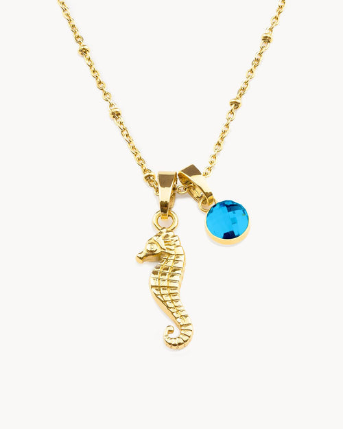 Wisdom Graduation Seahorse Power Necklace Set, Gold