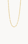 Shimmer Dainty Link Chain