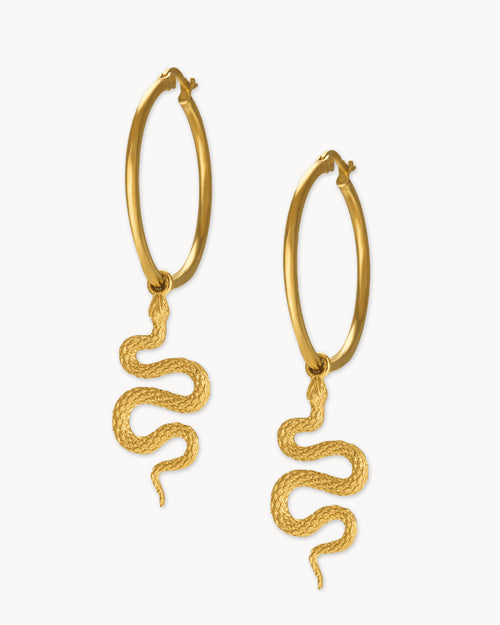 Snake Earring Set, Gold