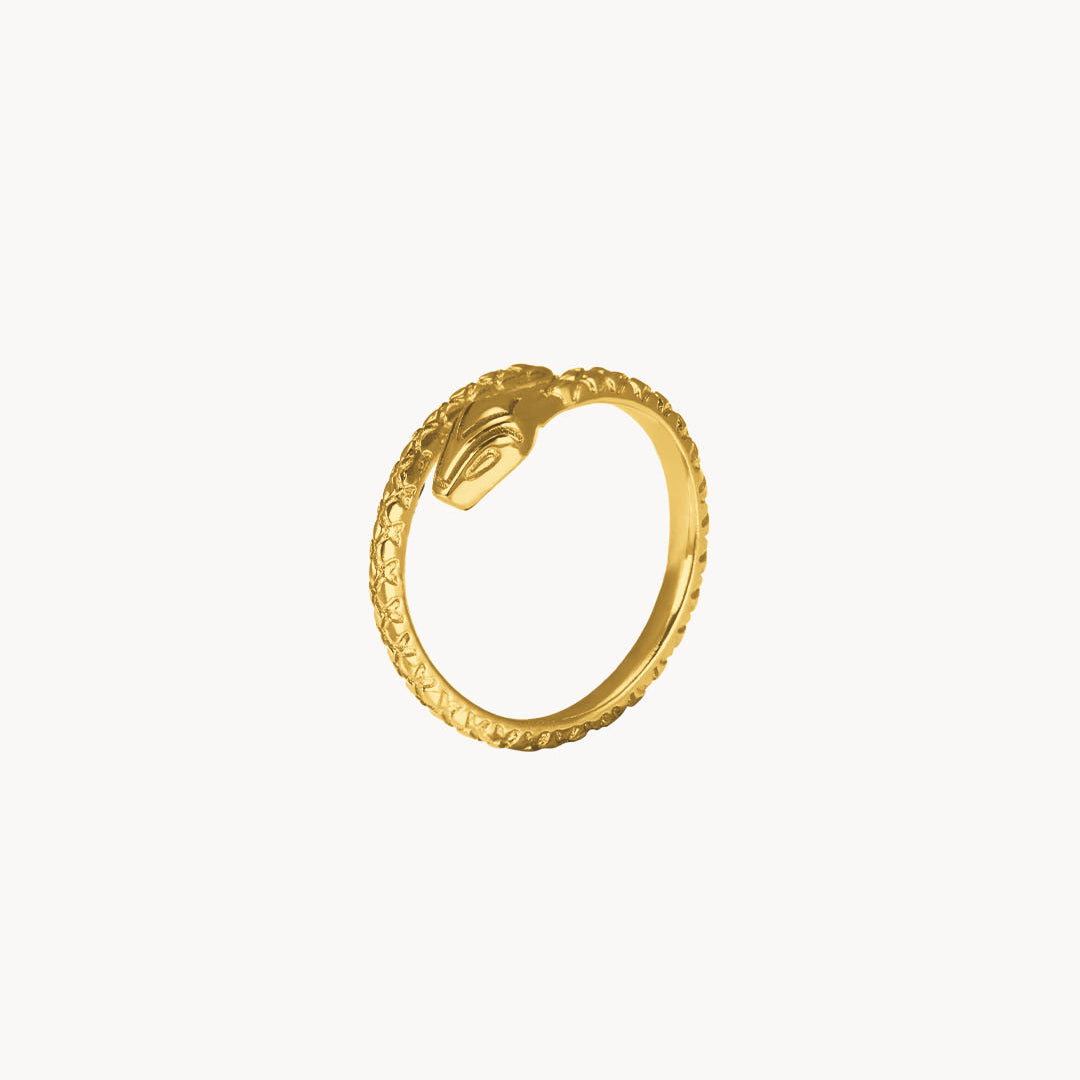 The Medusa Ring