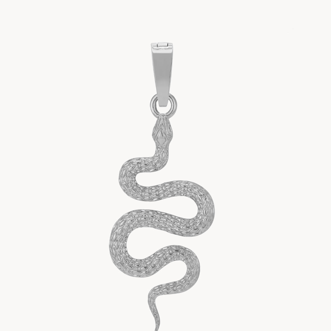 Snake Pendant, Silver